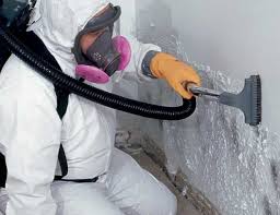 Best Attic Mold Removal  in Sarcoxie, MO